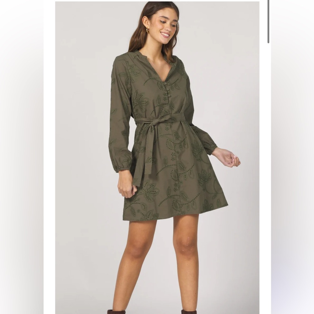 Zara Embroidered Eyelet Mini Dress